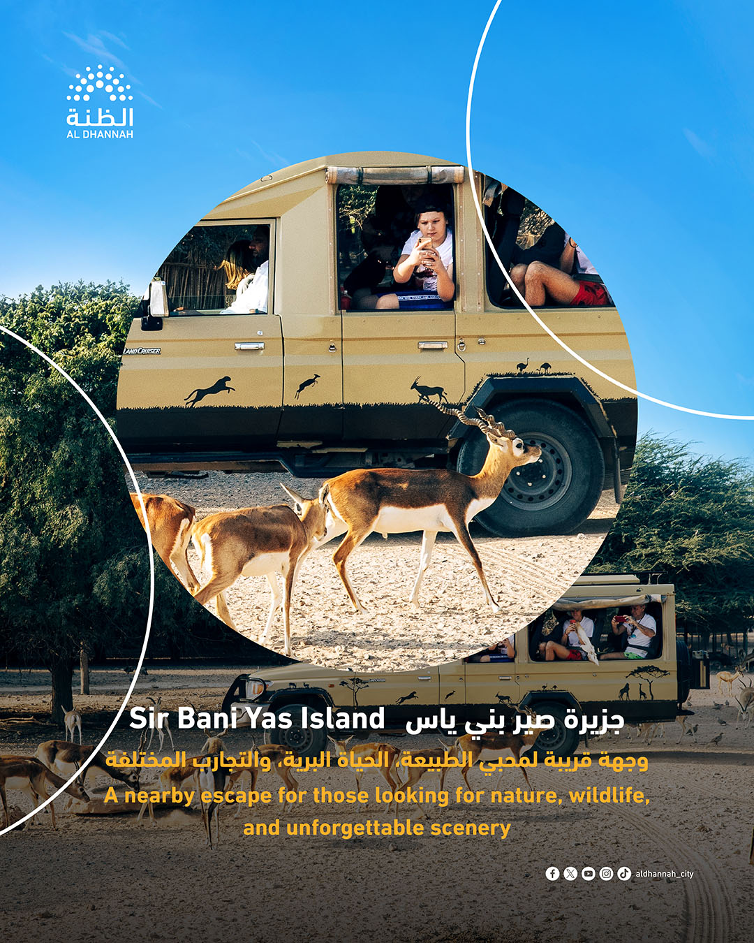 Perfect Escape from Al Dhannah Sir Bani Yas